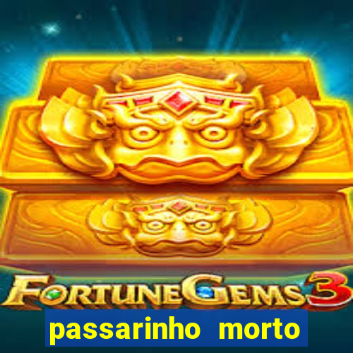 passarinho morto significado espiritual